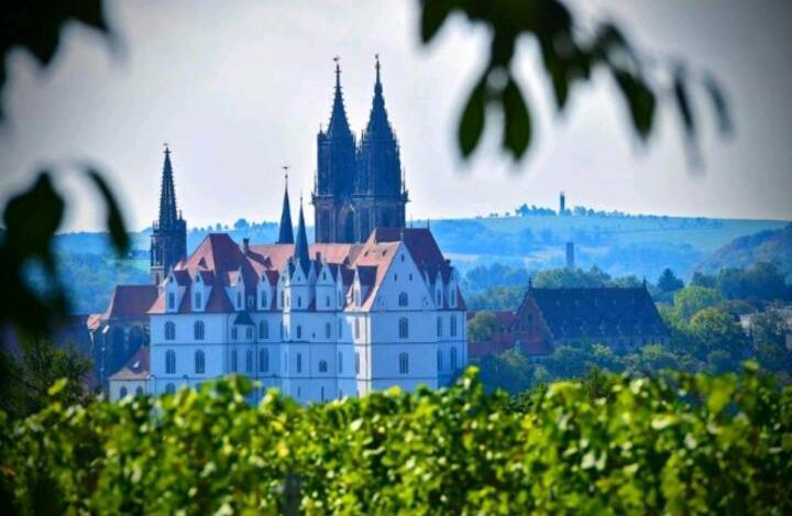 Ferienhaus Dr. Mueller Meißen Esterno foto
