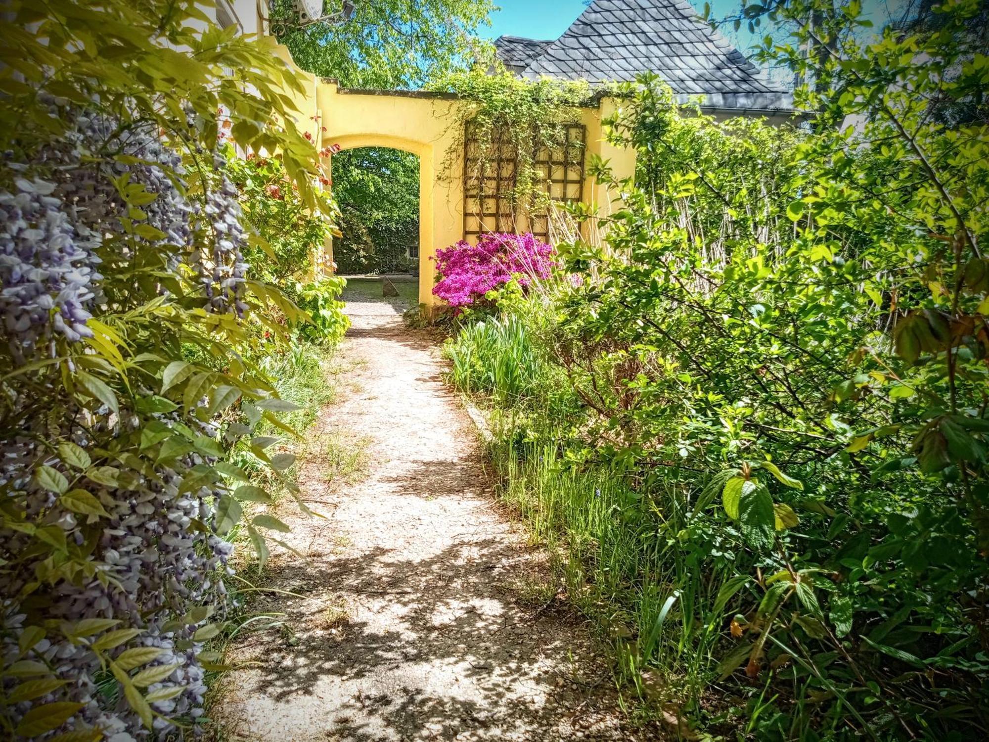 Ferienhaus Dr. Mueller Meißen Esterno foto