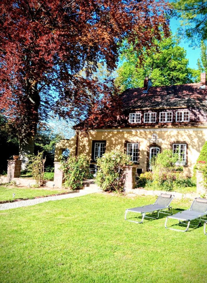 Ferienhaus Dr. Mueller Meißen Esterno foto